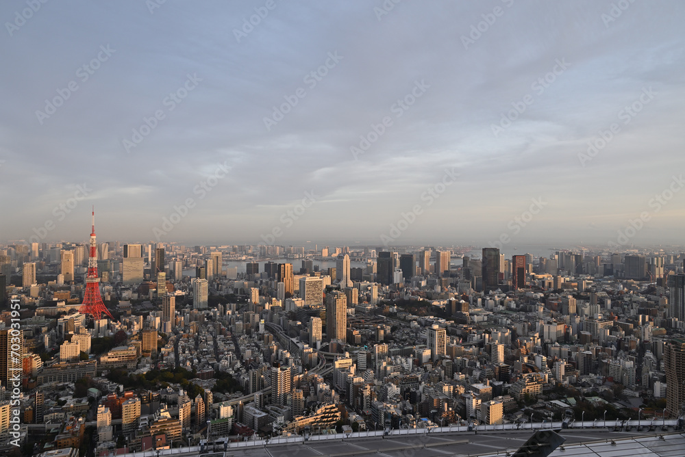 City view of Tokyo from Roppongi Hills