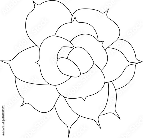 Echeveria lilacina black and white icon vector illustration. Top view of Mexican Ghost echeveria plant. Simple hand drawn vector doodle sketch of succulent