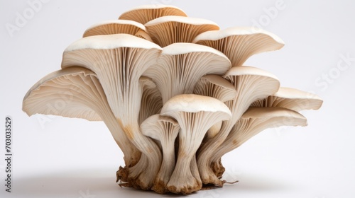 Group of Mushrooms on White Table