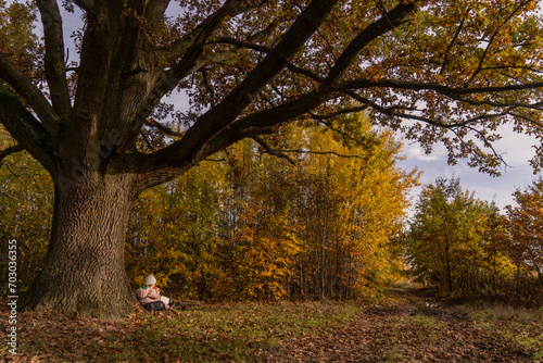 Autumn landscape  the child sits under large oak tree in the foreground and a path in the background