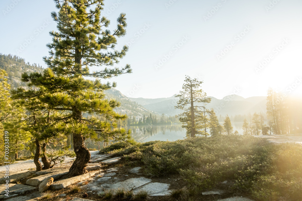 Fototapeta premium Morning Light Over Lake Vernon in Yosemite