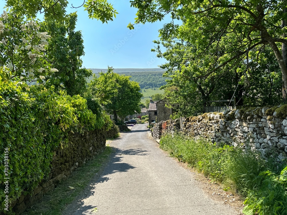 Coates Lane, with dry stone walls, wild plants, trees, cottages, and distant hills, in the pretty village of, Starbotton, UK