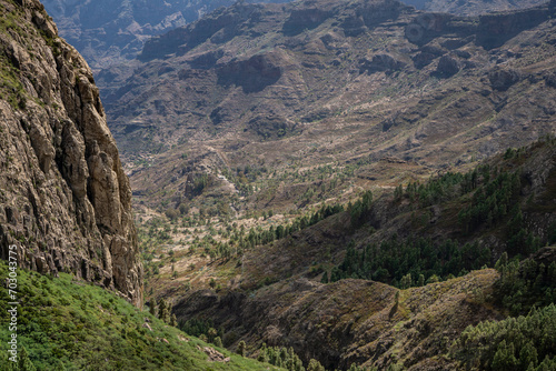 Fototapeta Naklejka Na Ścianę i Meble -  Garajonay, La Gomera, landscapes of La Gomera, mountain in La Gomera