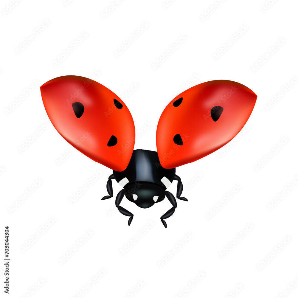 Fototapeta premium vector ladybugs with red and black spots