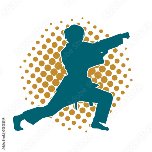 Silhouette of a slim female doing martial art pose. Silhouette of a martial art woman in action pose.