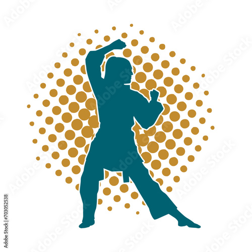 Silhouette of a slim female doing martial art pose. Silhouette of a martial art woman in action pose.