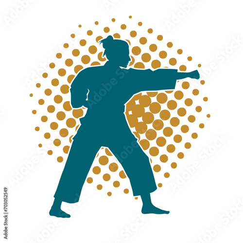 Silhouette of a slim female doing martial art pose. Silhouette of a martial art woman in action pose.