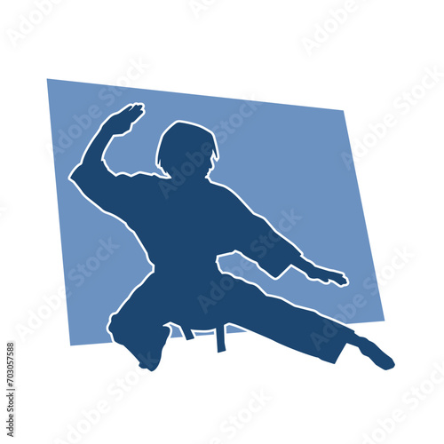 Silhouette of a slim female doing martial art pose. Silhouette of a martial art woman in action pose.