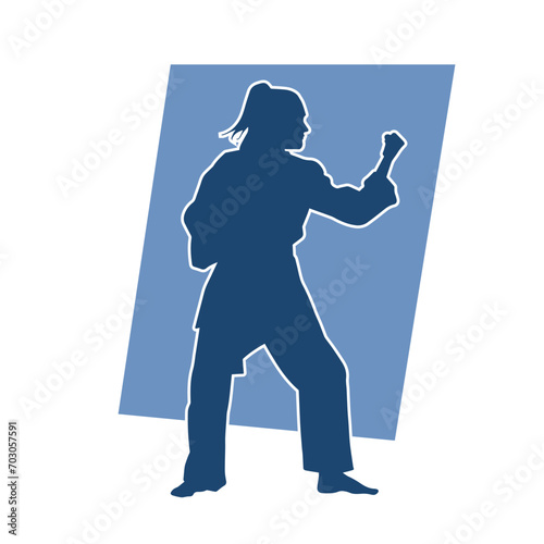 Silhouette of a slim female doing martial art pose. Silhouette of a martial art woman in action pose.