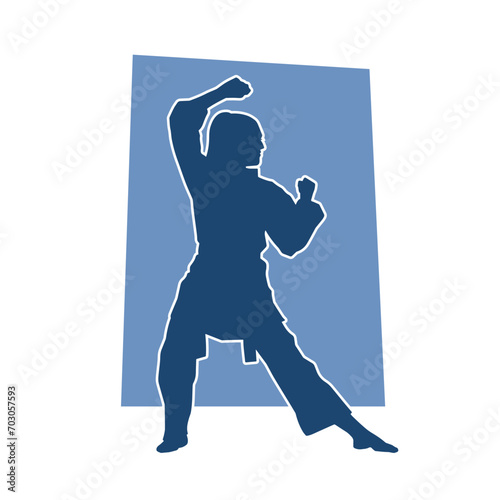 Silhouette of a slim female doing martial art pose. Silhouette of a martial art woman in action pose.