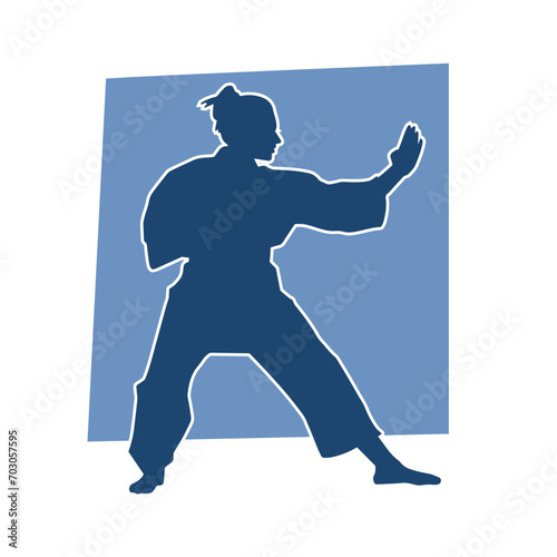 Silhouette of a slim female doing martial art pose. Silhouette of a martial art woman in action pose.