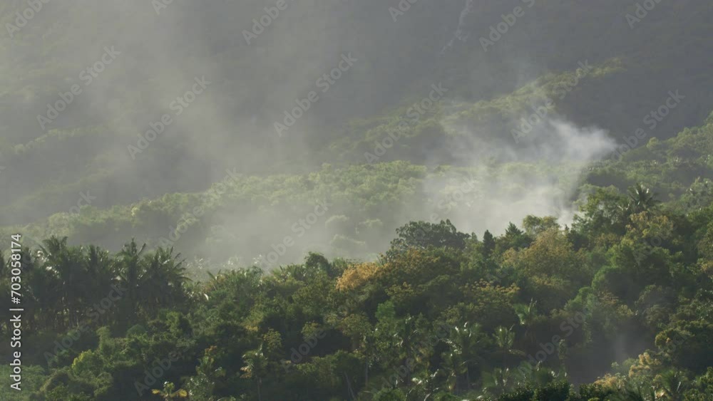 Smoke In The Midst Of A Dense Rainforest, Natural Phenomena Smoke In The Midst Of A Dense Rainforest, Natural Phenomena