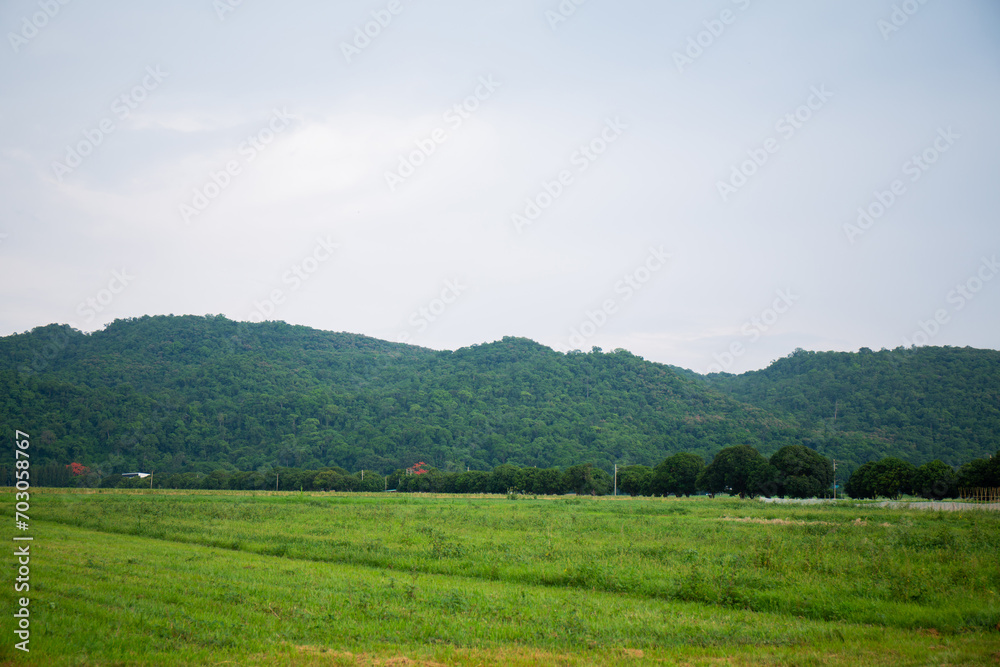 Forest, mountains, green trees and sky Forest, mountains, green trees and sky