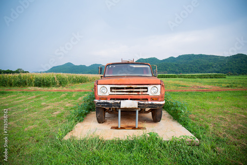 Pickup truck in sugarcane farm