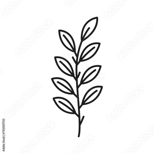 Vector botanical leaf doodle wildflower line art