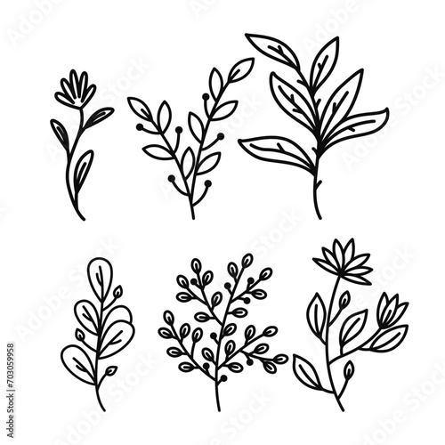 Vector hand drawn line art floral decorative elements  leaves  flowers  herbs and branches botanical doodle