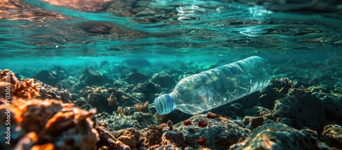 Plastic bottle floats in morning water column, Red Sea, Egypt.