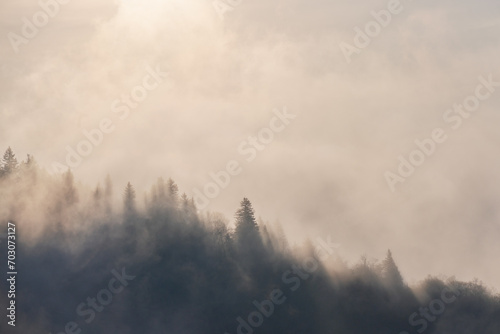 Morning fog burning off in the Blue Ridge Mountains.
