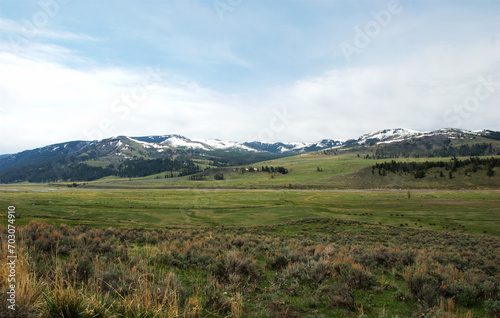 Spectacular panoramic views at Larmar Valley in Yellowstone National Park, Wyoming Montana. Watch wildlife, Bison Buffalo, wolf, pronghorn. Summer wonderland to watch wildlife and natural landscape.