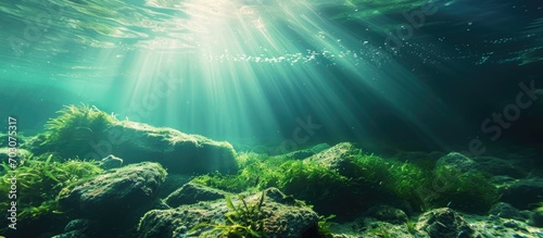 Underwater background with sunlight and green freshwater