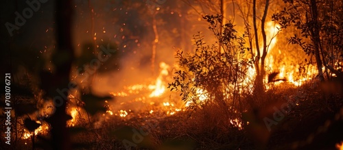 Nighttime close-up of a bush fire.