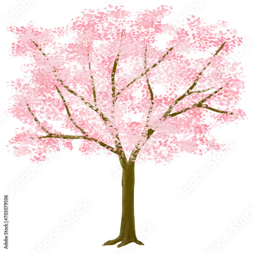 満開に咲いた背の高い桜の木のイラスト