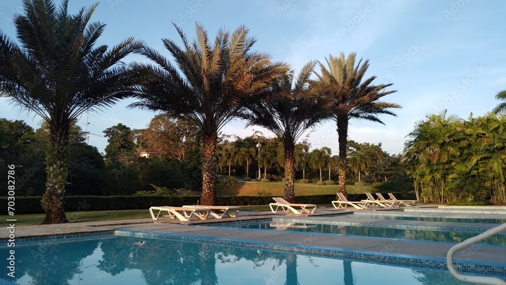 swimming pools with palm trees around on a sunny summer day