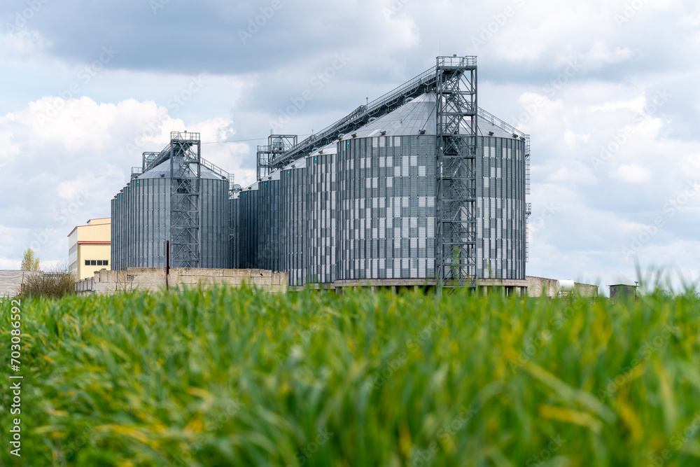 Granary elevator, silver silos on agro manufacturing plant for processing drying cleaning and storage of agricultural products, flour, cereals and grain. A field of green wheat.