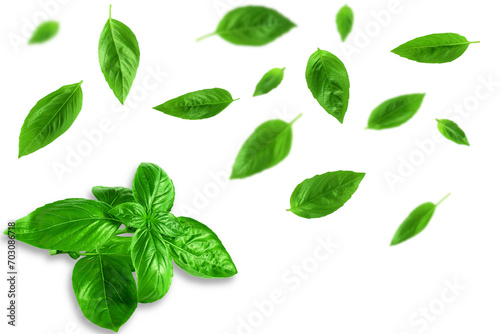 fresh flying green basil leaves herb spice, cutout transparent png background 