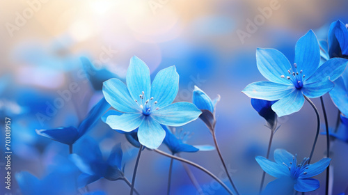 Vibrant blue Hepatica flowers blooming under the soft spring sunlight. © tashechka