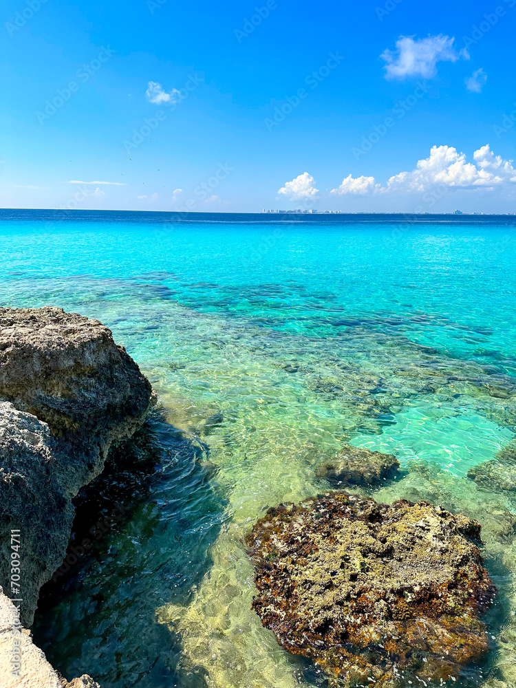 Fototapeta premium coral reef and sea