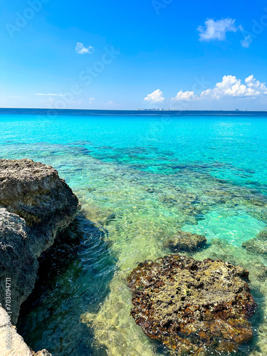 coral reef and sea