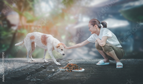 A woman sitting feeding stray dogs photo