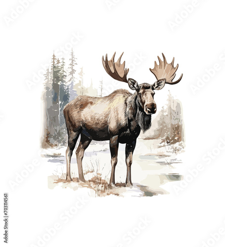 Wild Bull Moose Watercolor Illustration 