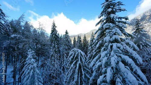 Aerial Forward Idyllic Shot Of Snow Covered Forest On Mountains Against Cloudy Sky - French Alps, France