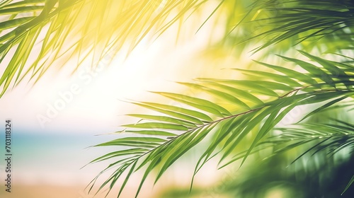 The foreground features a frame formed by palm leaves, and the background is a summer beach. Vacation concept.