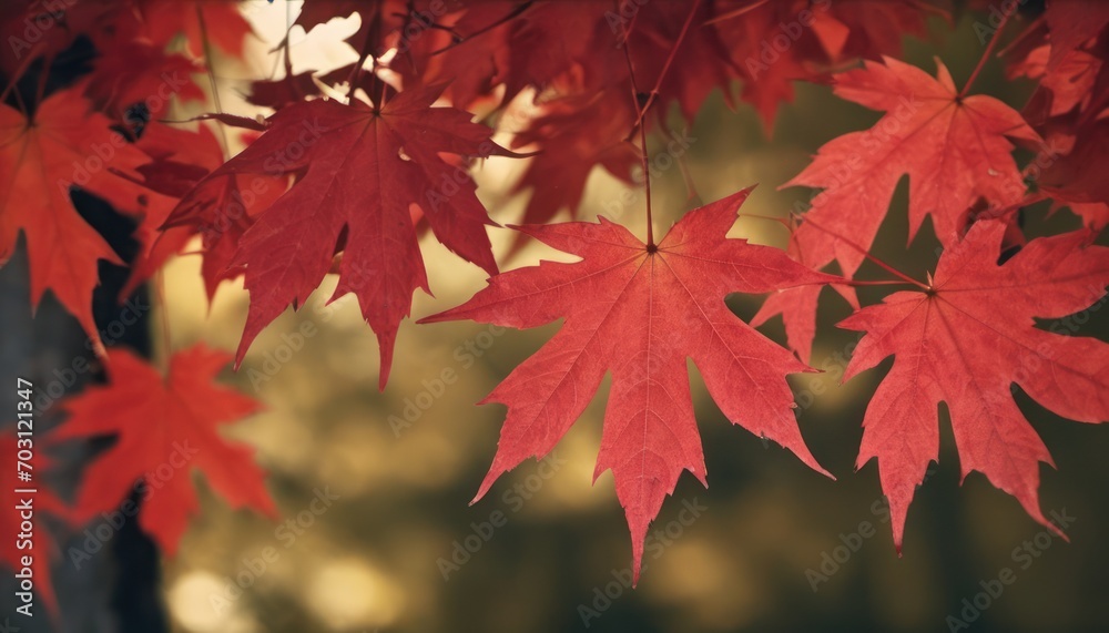 a tree with red leaves hanging from it's branches in front of a blurry background of trees with leaves in the foreground and in the foreground. a tree with red leaves hanging from it's branches in front of a blurry background of trees with leaves in the foreground and in the foreground.