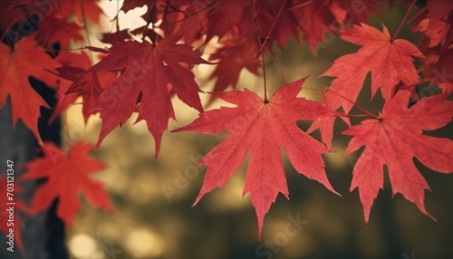  a tree with red leaves hanging from it s branches in front of a blurry background of trees with leaves in the foreground and in the foreground.