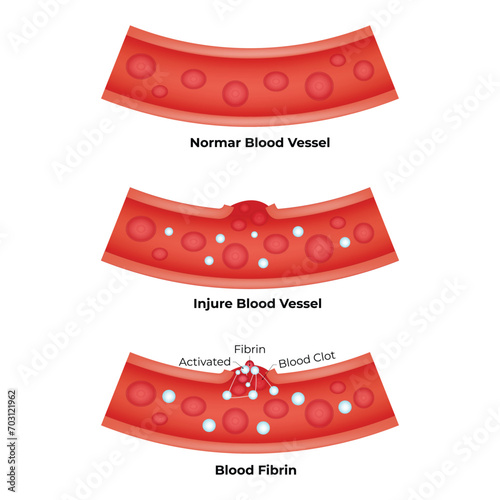 Human Blood Vessel Science Design Vector Illustration
