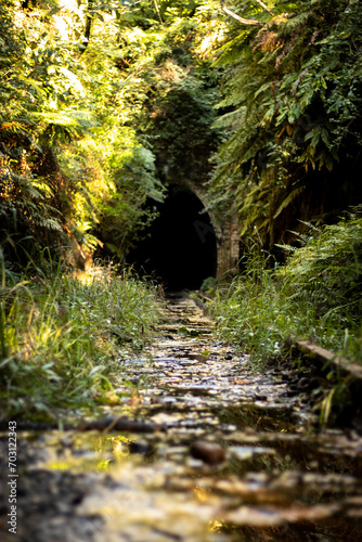 Abandoned train tunnel in the forest