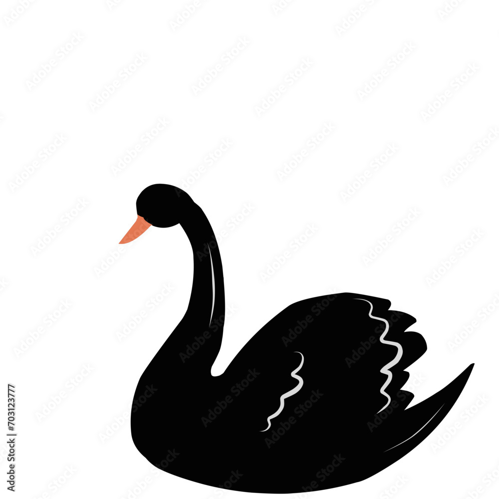 Fototapeta premium Beautiful Black Swan 