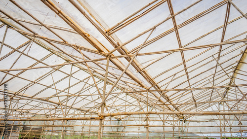 Small bamboo sticks are used by the people of Lam Dong Vietnam to build greenhouses to grow vegetables 