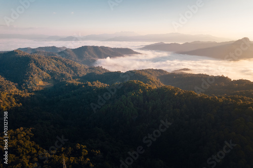 Aerial view of forest and mountain in fog with golden sunbeams at sunrise