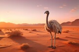 Ostrich in the Sahara desert at sunset. 3d render, Ostrich in the desert HD 8K wallpaper stock photographic image, AI Generated