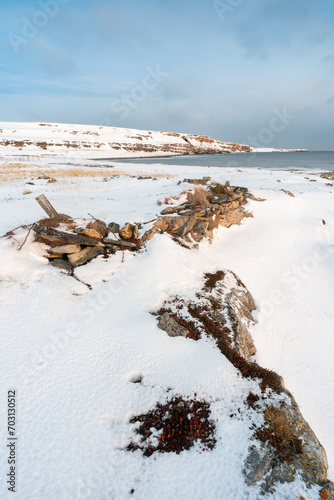 Remains of an old fence on the shore of Varangerfjord, Ekkerøya, Northern Norway photo