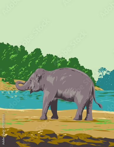 Art Deco or WPA poster of an Indian elephant in along the Mahanadi river in Mahanadi Elephant Reserve located in Odisha, India done in works project administration style.
