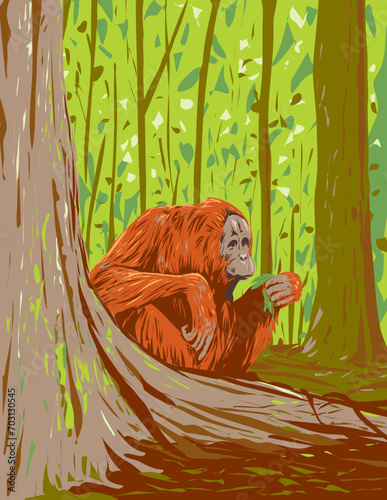 Art Deco or WPA poster of an orangutan in the forest of Kutai National Park located in East Kalimantan on Indonesian Borneo done in works project administration style.
