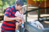 Adorable cute toddler girl and young father feeding little goats and sheeps on a kids farm. Beautiful baby child petting animals in petting zoo. man and daughter together on family weekend vacations.