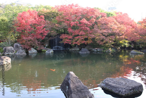 Autumn leaves and pond in the Garden of the Lord's Residence in Koko-en Garden, Himeji, Japan photo