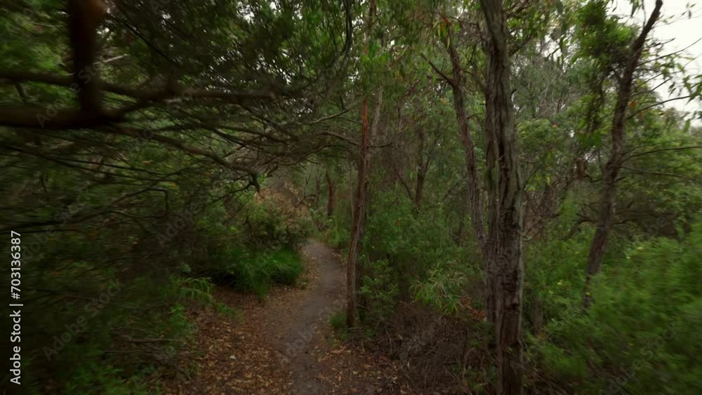 Walking along a coastal forest path in Albany, Western Australia. Walking along a coastal forest path in Albany, Western Australia.
